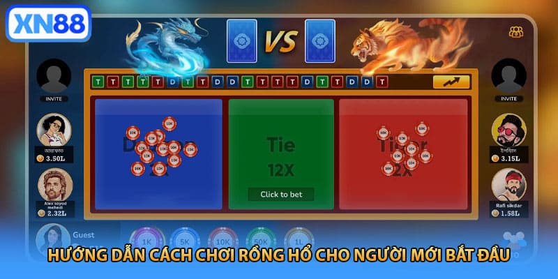Hướng dẫn cách chơi Rồng Hổ cho người mới bắt đầu